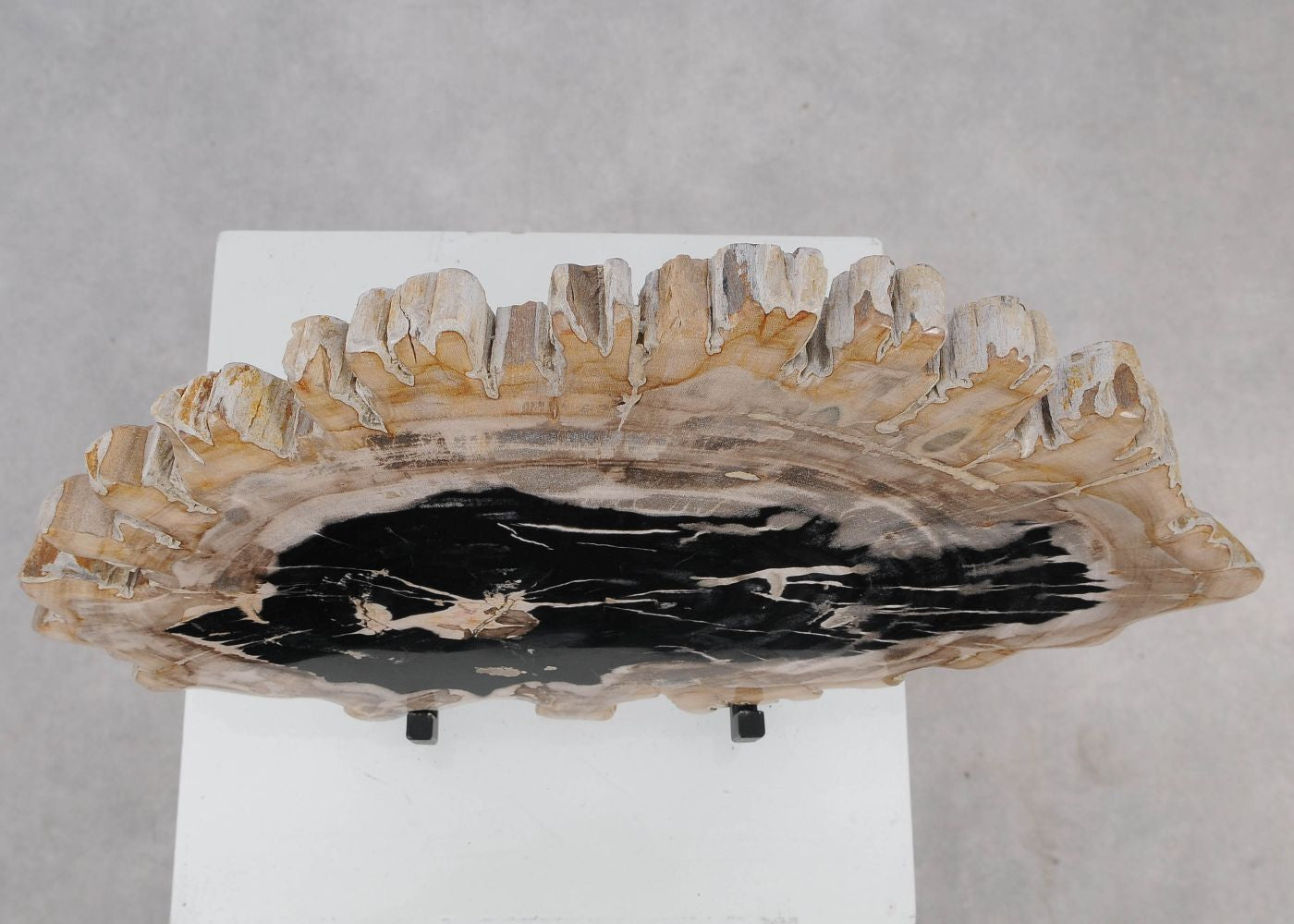 Lastra per tavolino in legno fossile - 51428