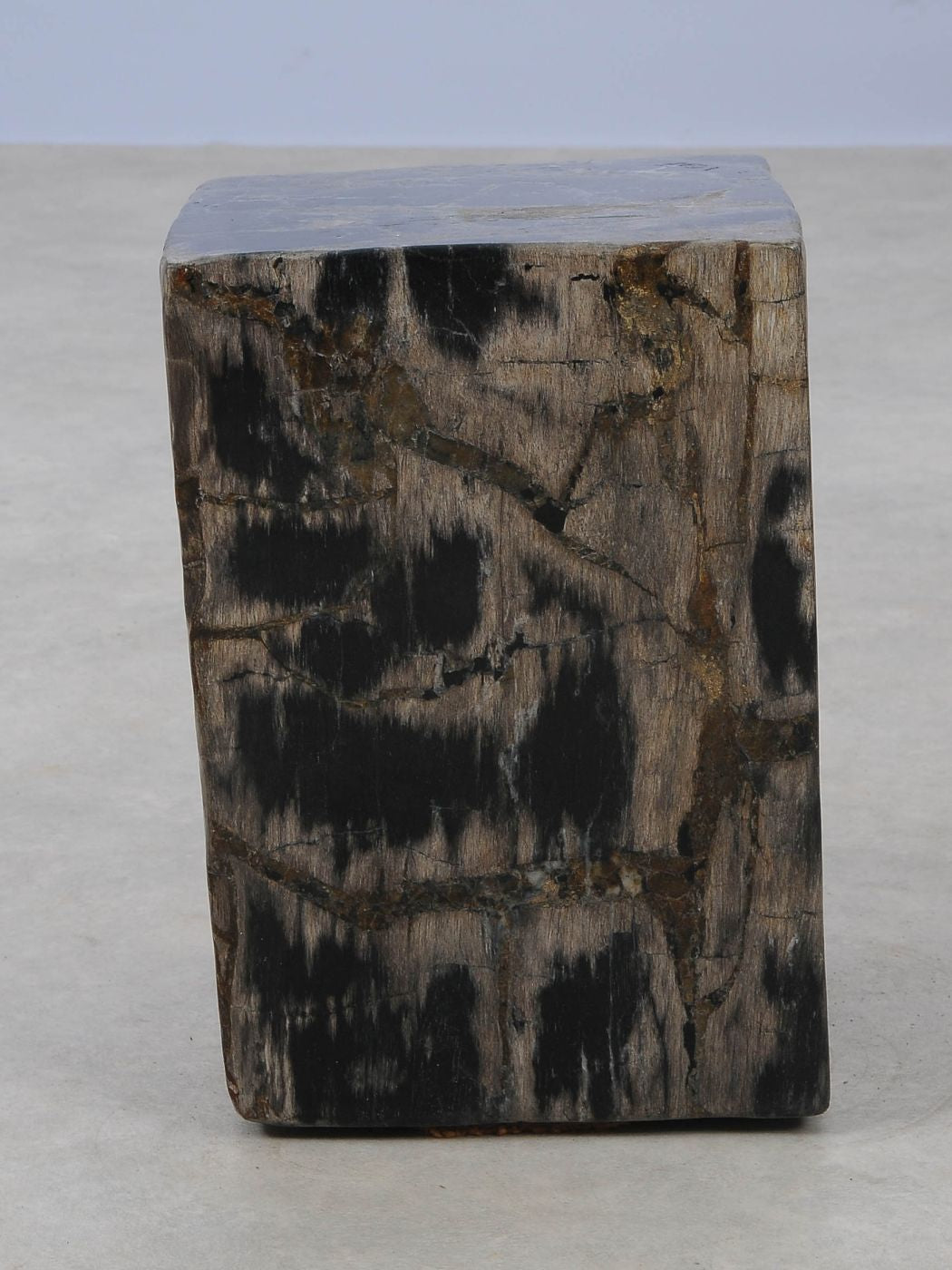 Tavolino tronco in legno pietrificato - 52004