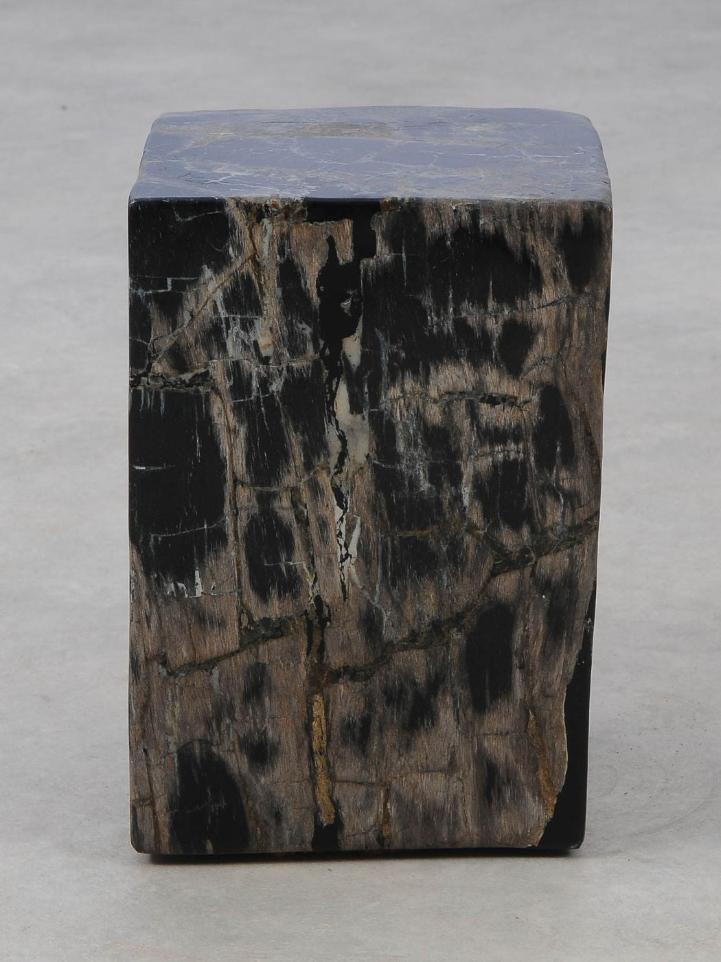 Tavolino tronco in legno pietrificato - 52004