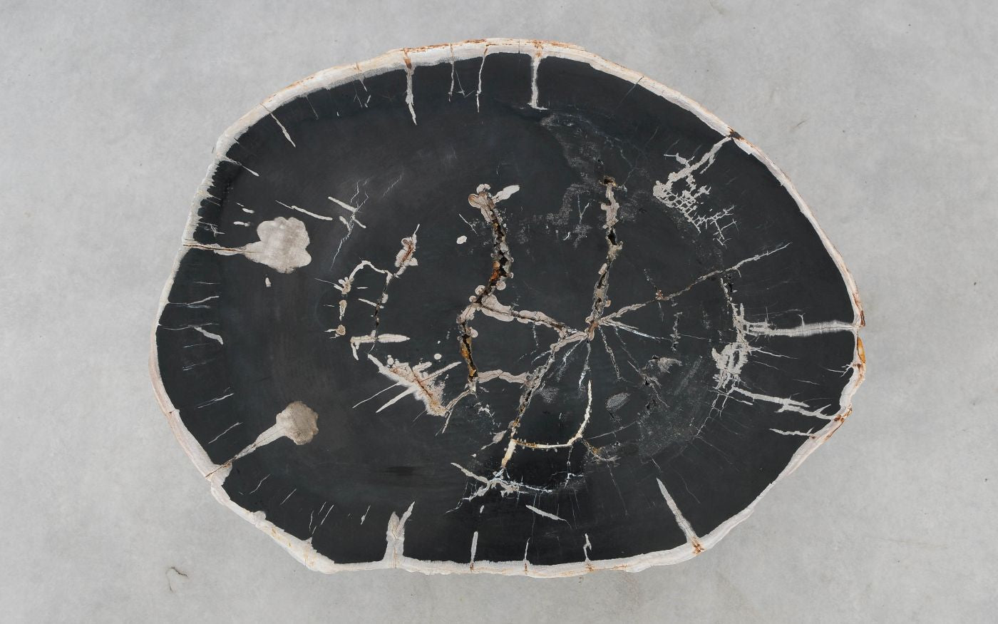 Lastra per tavolino in legno fossile - 52285
