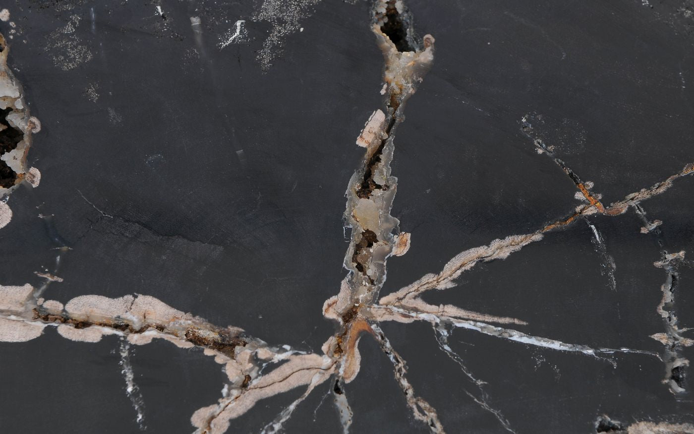 Lastra per tavolino in legno fossile - 52285