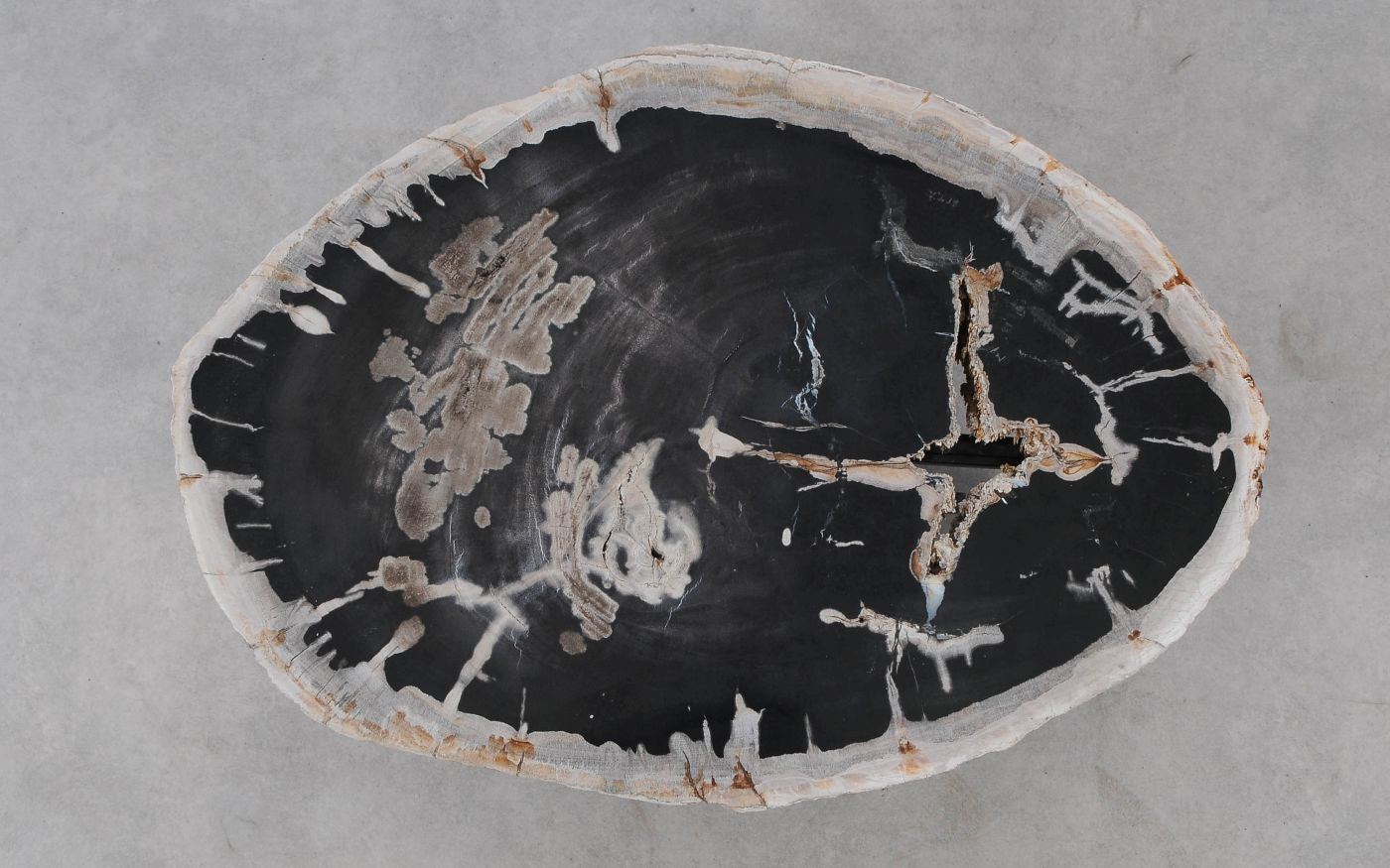 Lastra per tavolino in legno fossile - 52303