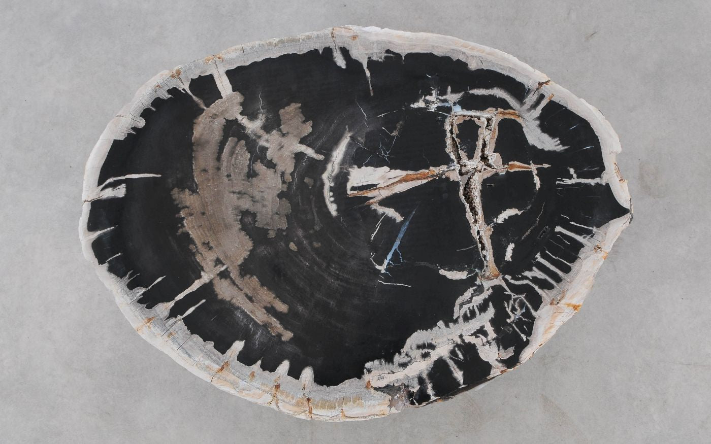 Lastra per tavolino in legno fossile - 52303