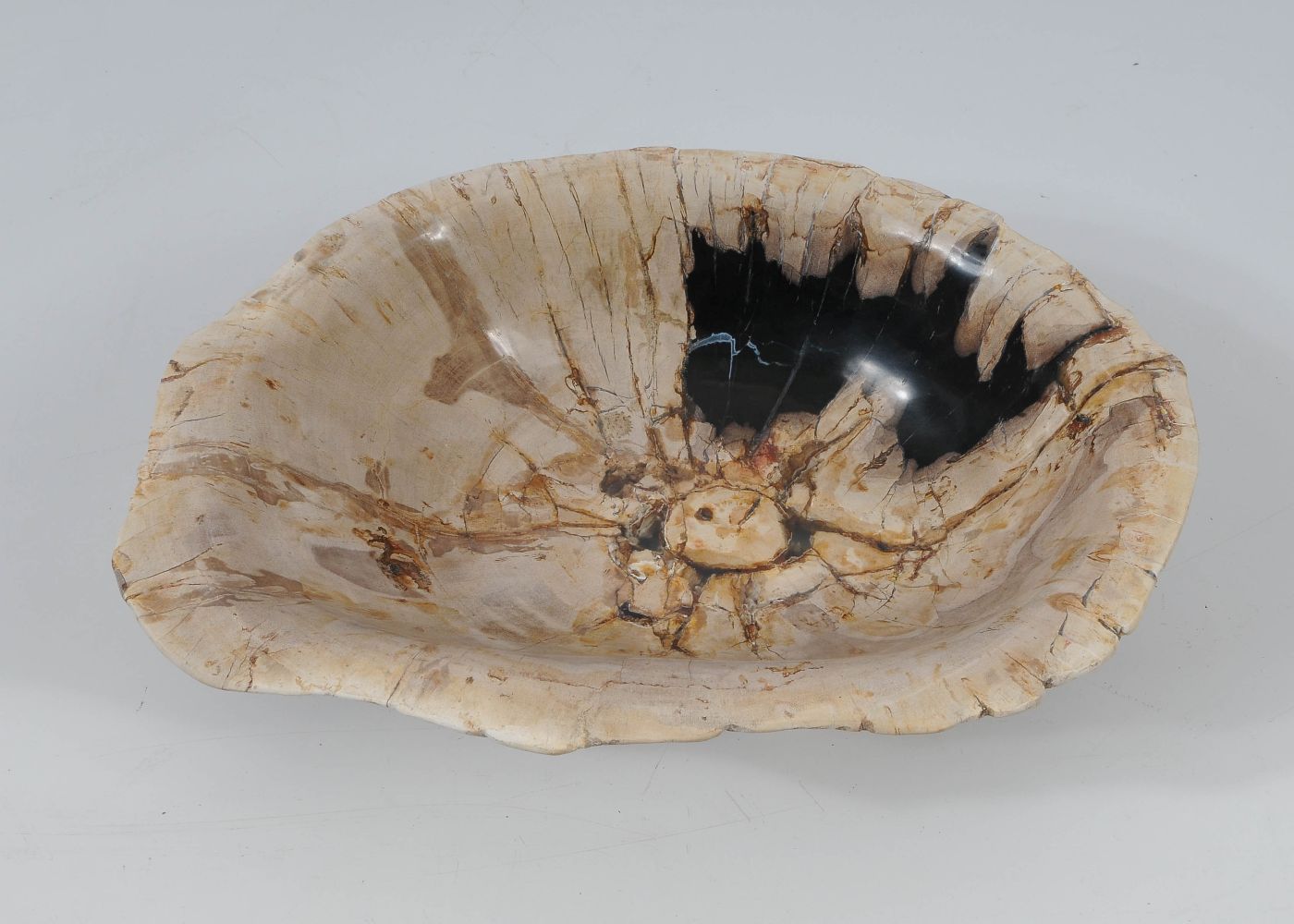 Ciotola in legno fossile - 52377
