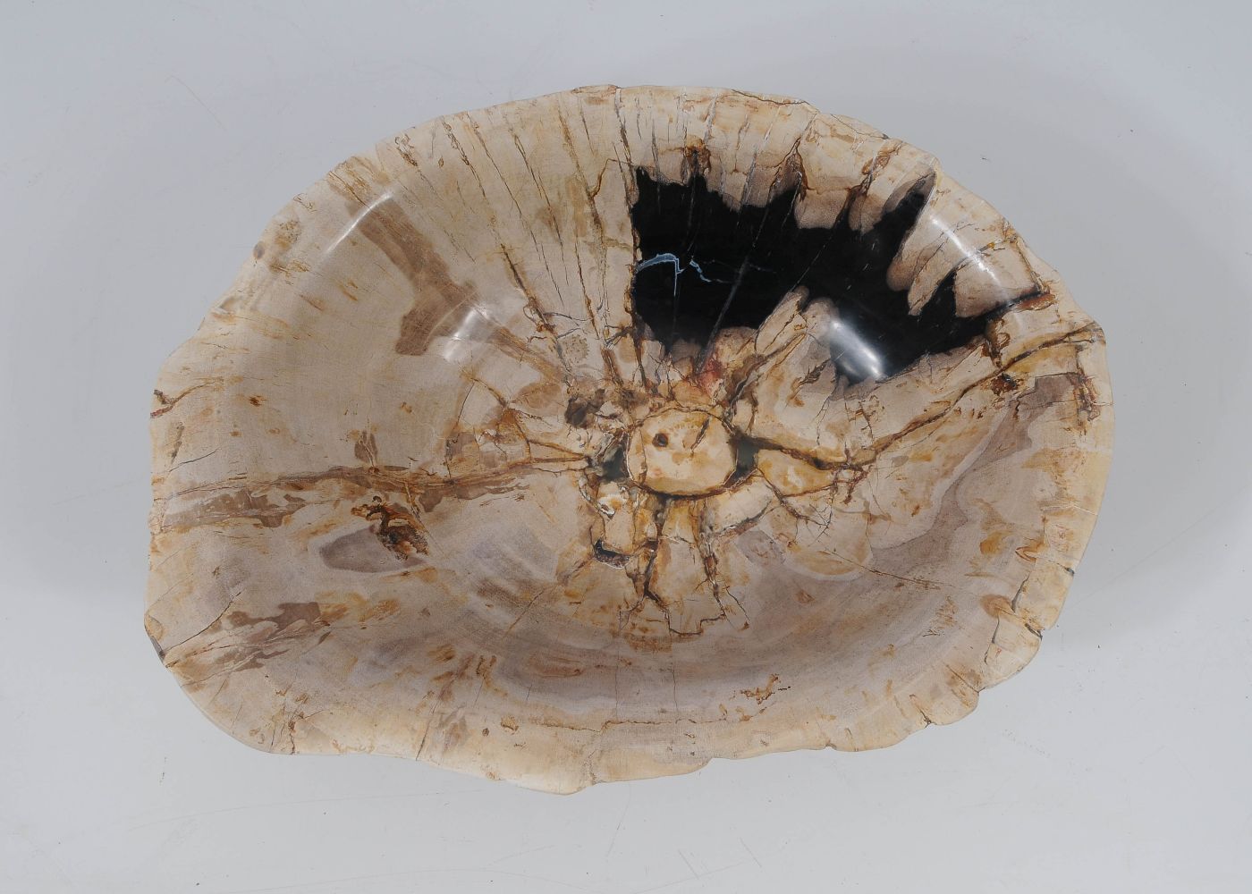 Ciotola in legno fossile - 52377