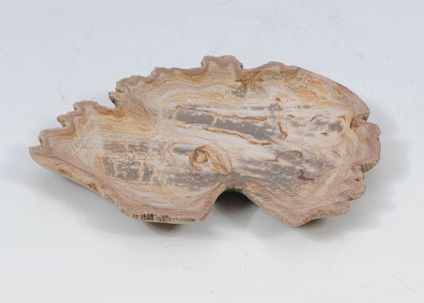 Piatto in legno fossile - 52392