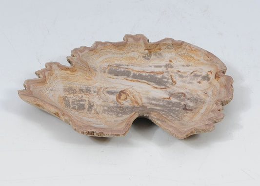 Piatto in legno fossile - 52392