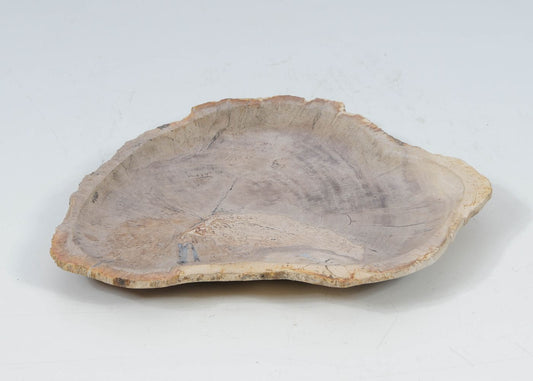 Piatto in legno fossile - 52400