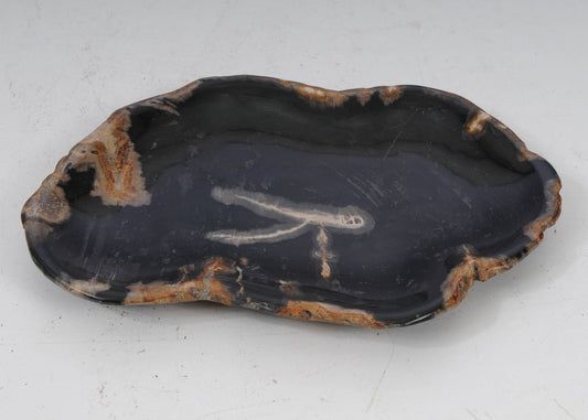 Piatto in legno fossile - 53073