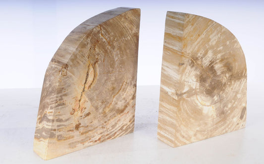 Coppia di fermalibri in legno pietrificato - 53361