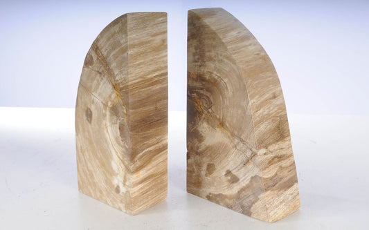 Coppia di fermalibri in legno pietrificato - 53363