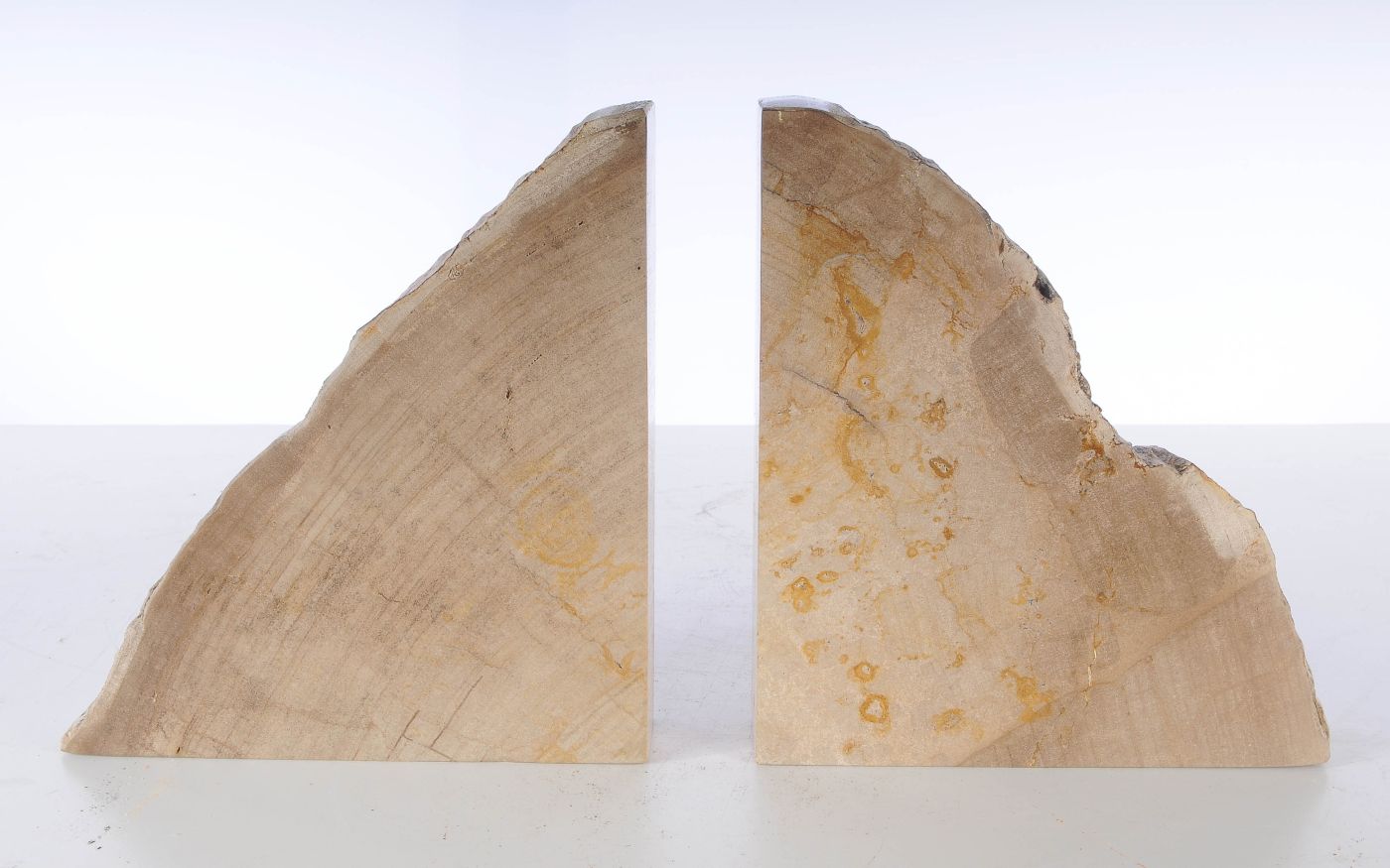 Coppia di fermalibri in legno pietrificato - 53366