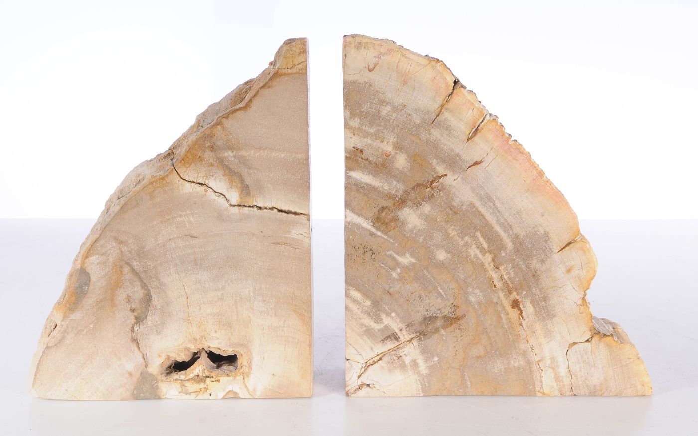 Coppia di fermalibri in legno pietrificato - 53369