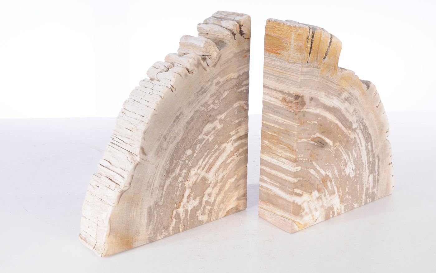 Coppia di fermalibri in legno pietrificato - 53371
