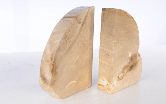 Coppia di fermalibri in legno pietrificato - 53384