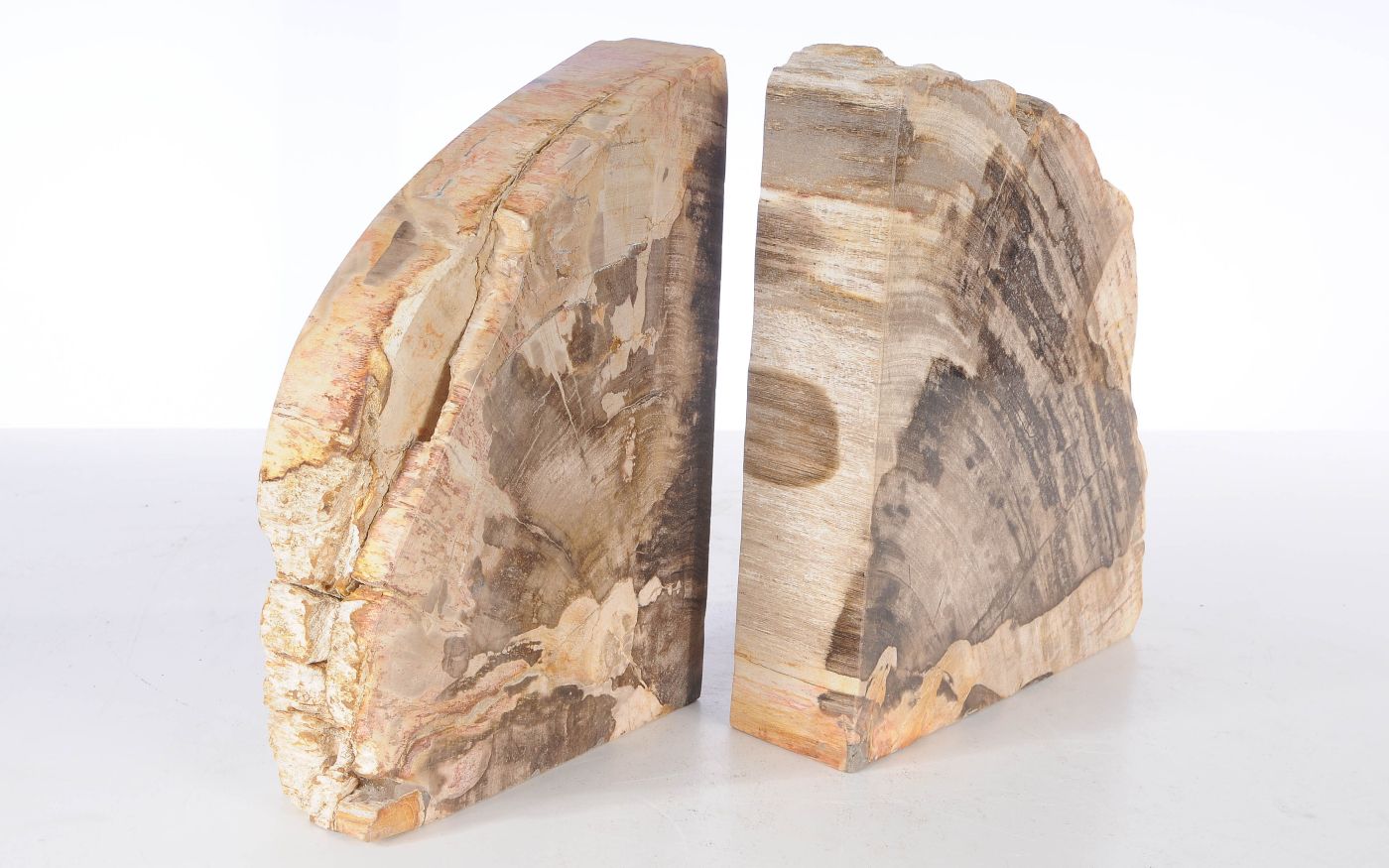 Coppia di fermalibri in legno pietrificato - 53385