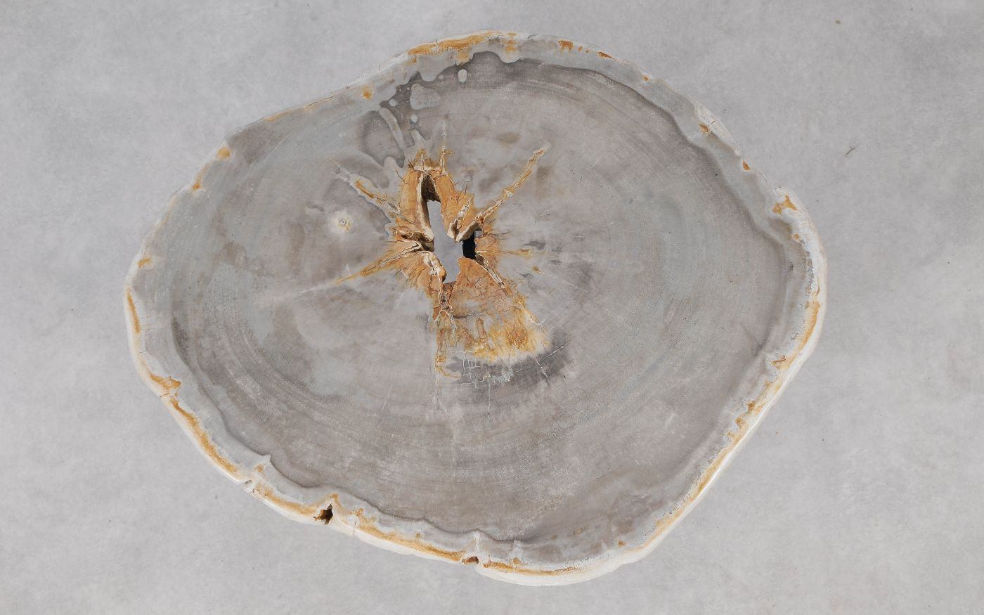 Lastra per tavolino in legno fossile - 55196