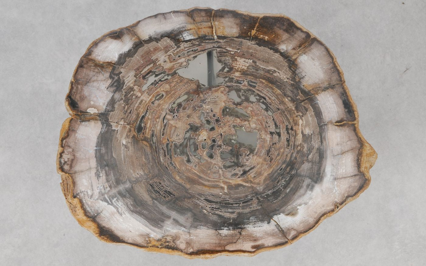 Lastra per tavolino in legno fossile - 55245