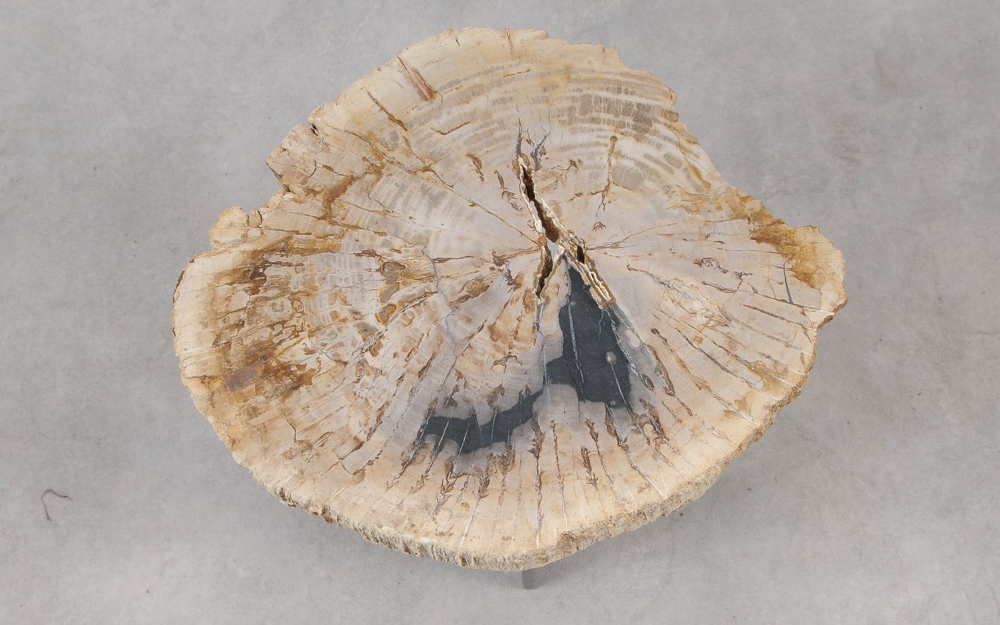 Lastra per tavolino in legno fossile - 55307