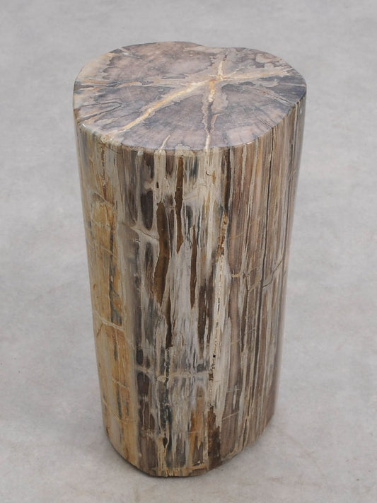 Tavolino tronco in legno pietrificato - 56000