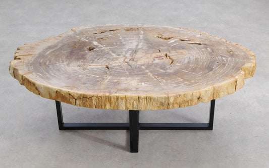 Lastra per tavolino in legno fossile - 56149