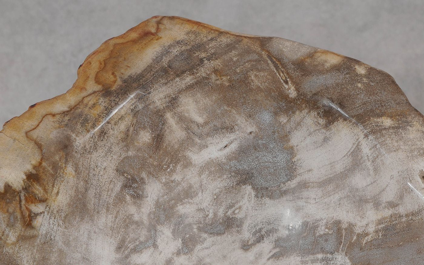 Lavandino da appoggio in legno pietrificato - 56289