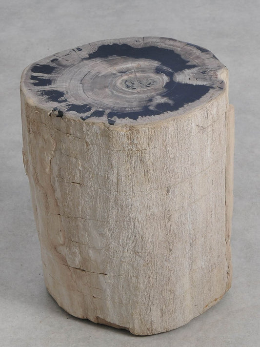 Tavolino tronco in legno pietrificato - 59036