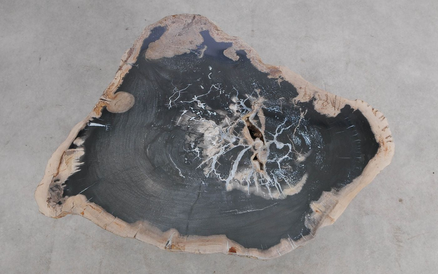 Lastra per tavolino in legno fossile - 59272