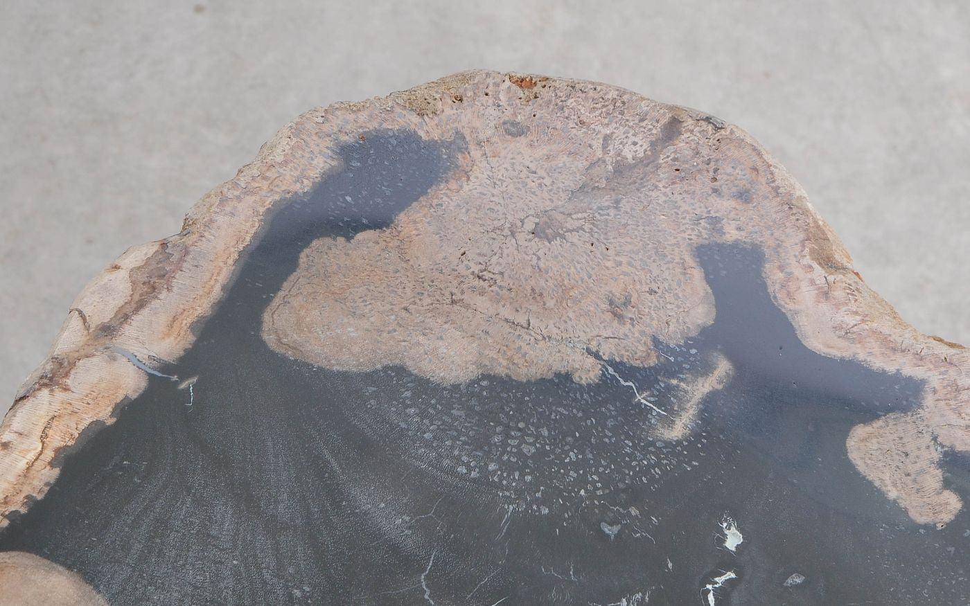 Lastra per tavolino in legno fossile - 59272