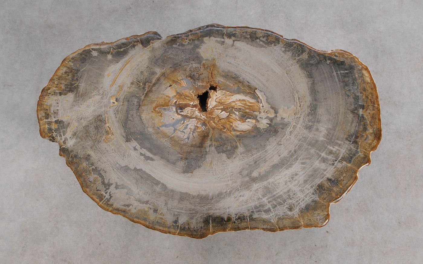 Lastra per tavolino in legno fossile - 60368