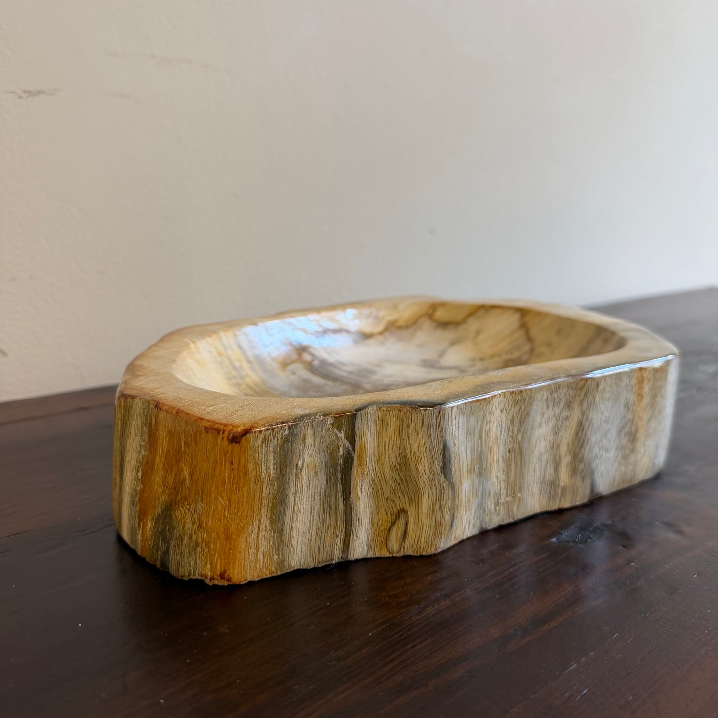 Piatto in legno fossile - 60374 M