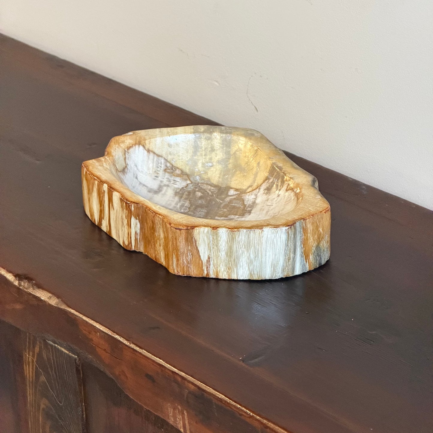 Piatto in legno fossile - 60374 M