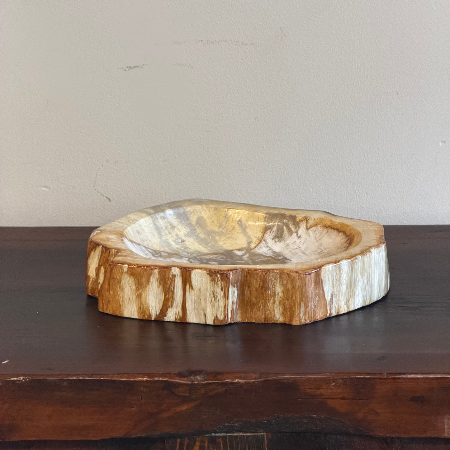 Piatto in legno fossile - 60374 M