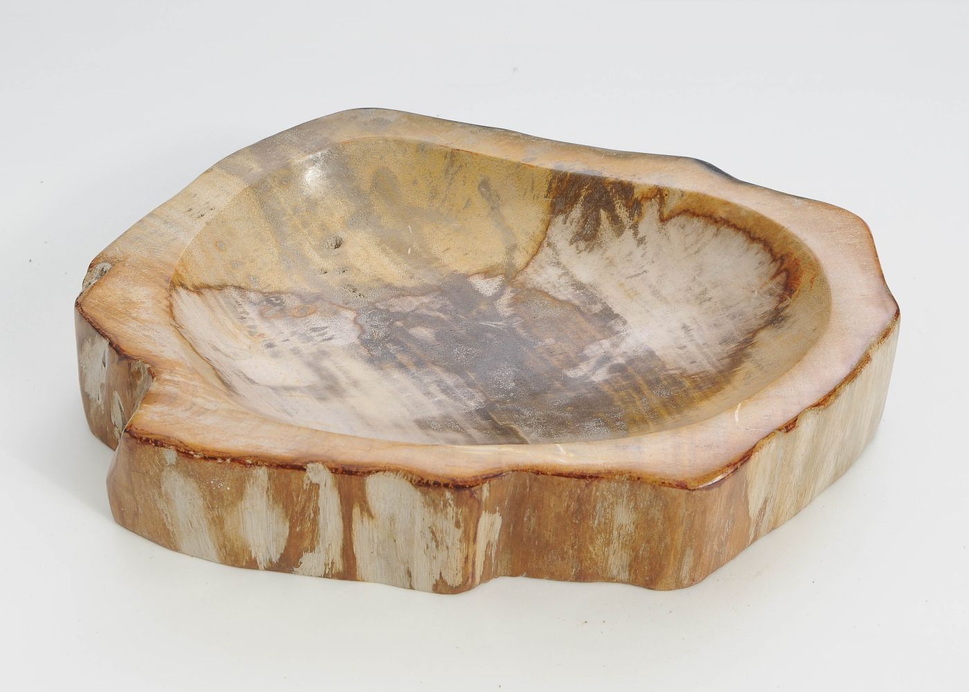 Piatto in legno fossile - 60374m