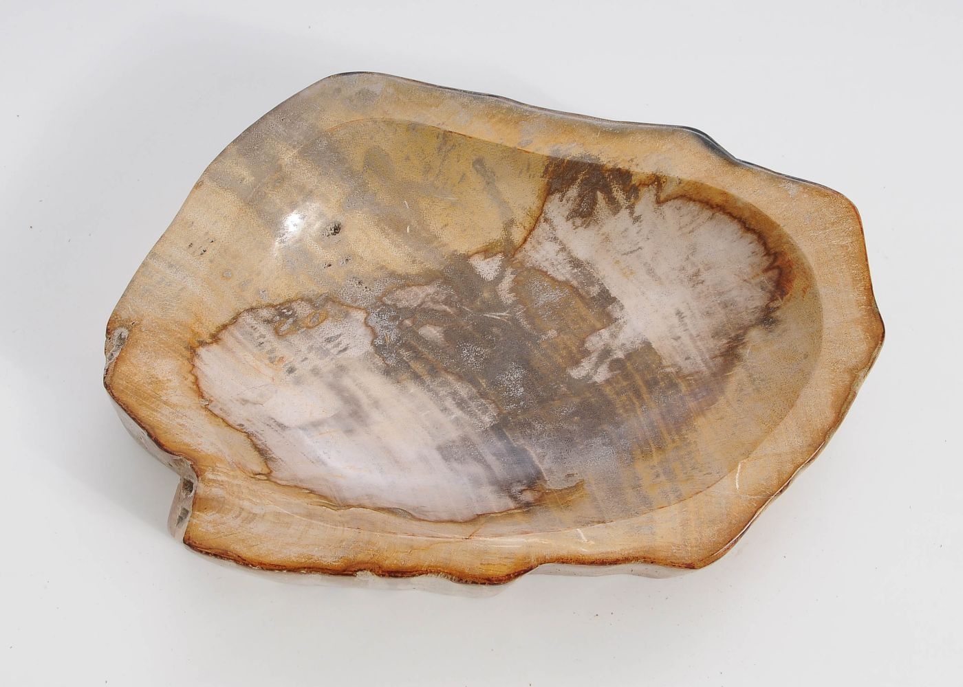 Piatto in legno fossile - 60374m