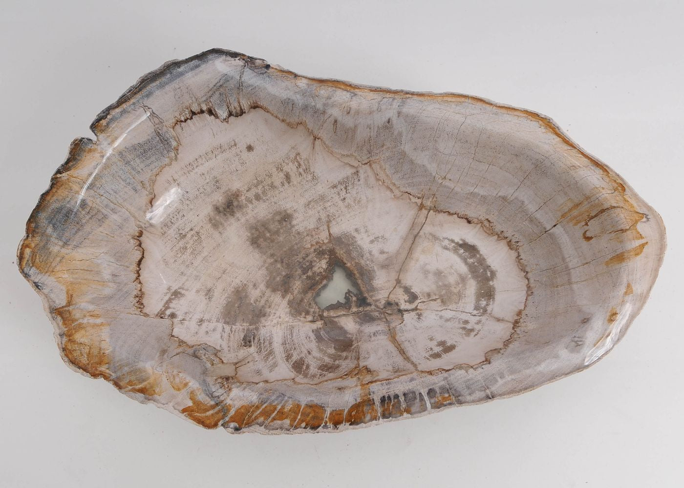 Ciotola in legno fossile - 60443