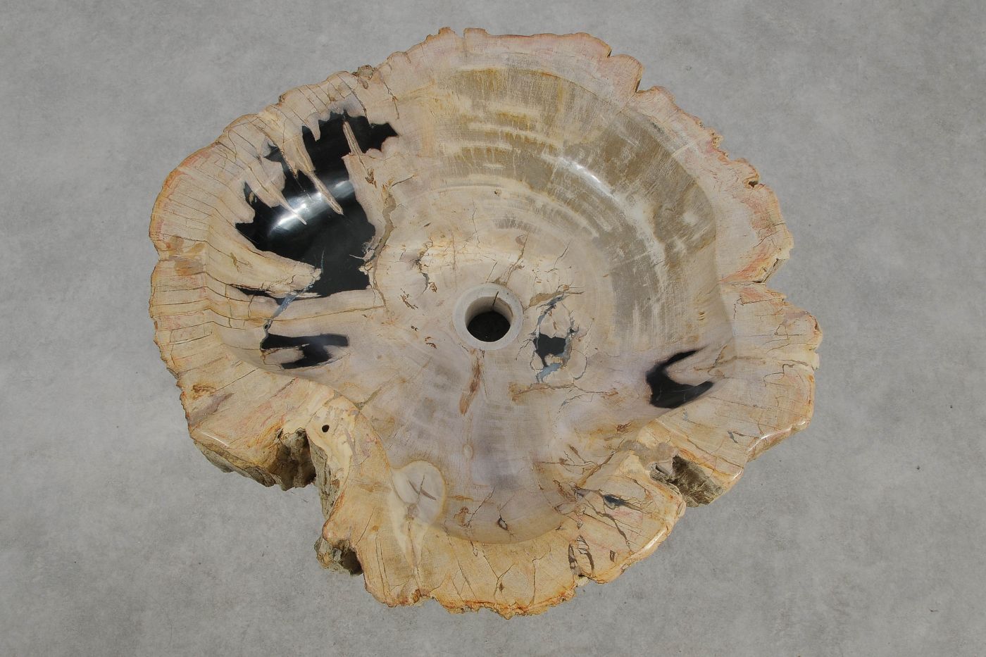 Lavandino da appoggio in legno pietrificato - 61323