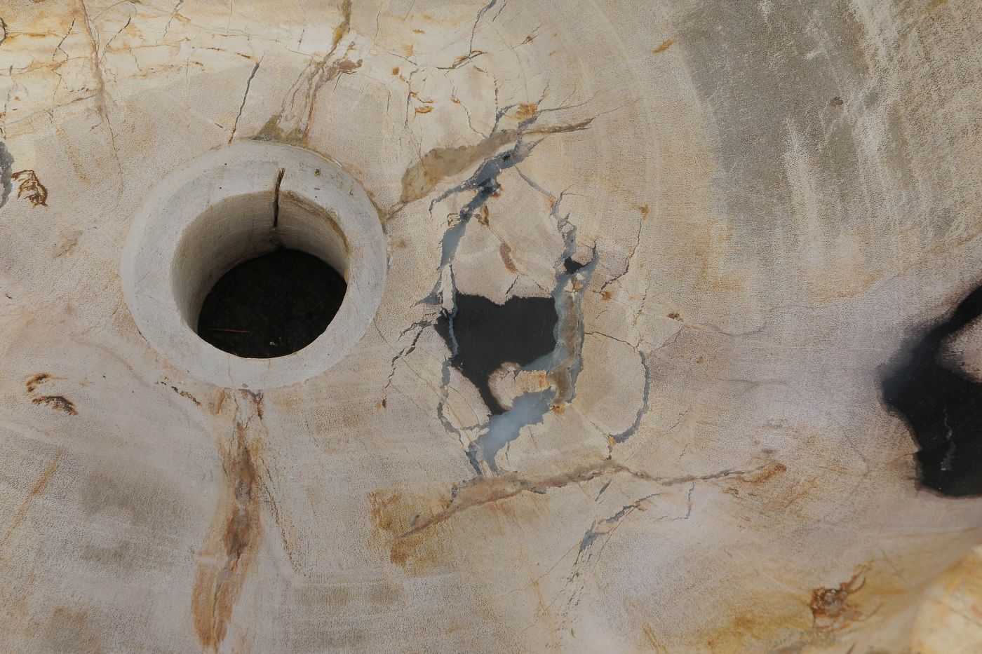 Lavandino da appoggio in legno pietrificato - 61323