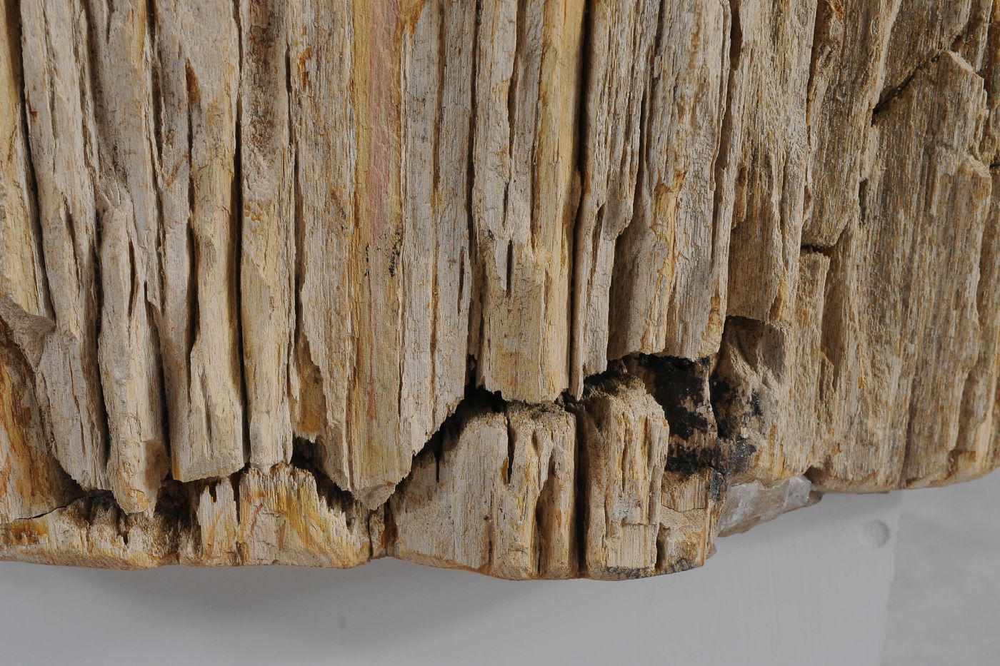 Lavandino da appoggio in legno pietrificato - 61323