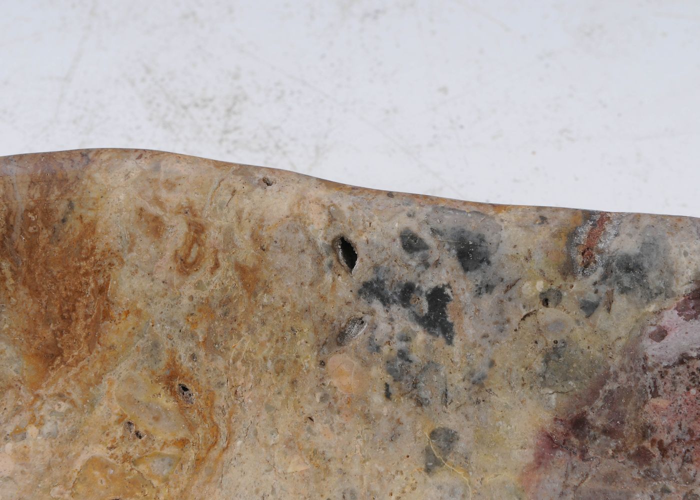 Ciotola in legno pietrificato - 56023