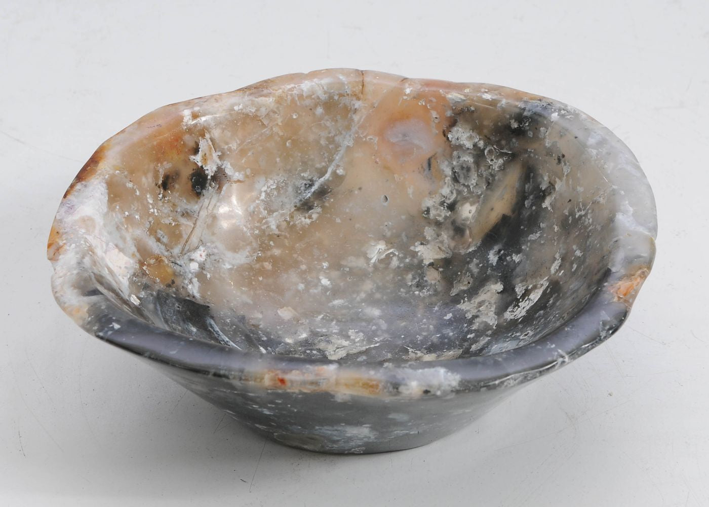Ciotola in legno pietrificato - 58033