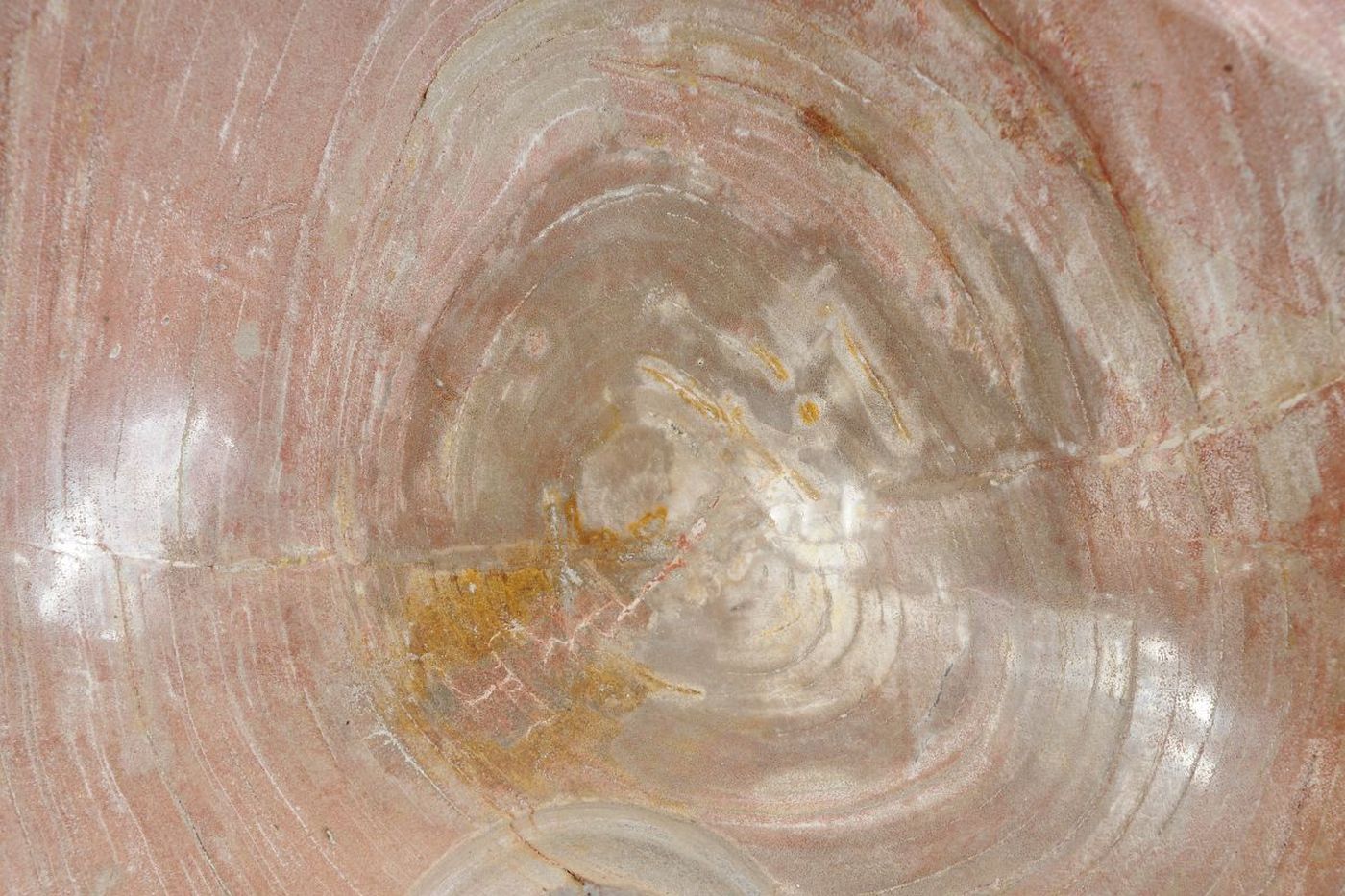 Lavandino da appoggio in legno pietrificato - 50227