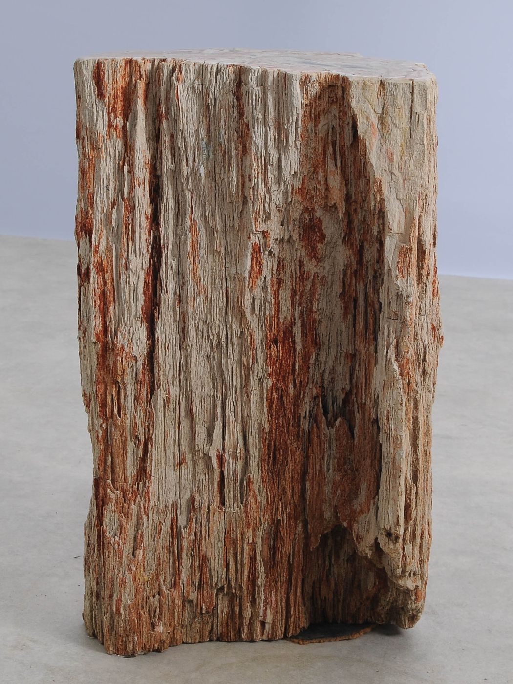 Tavolino tronco in legno pietrificato - 55000 - Esotika