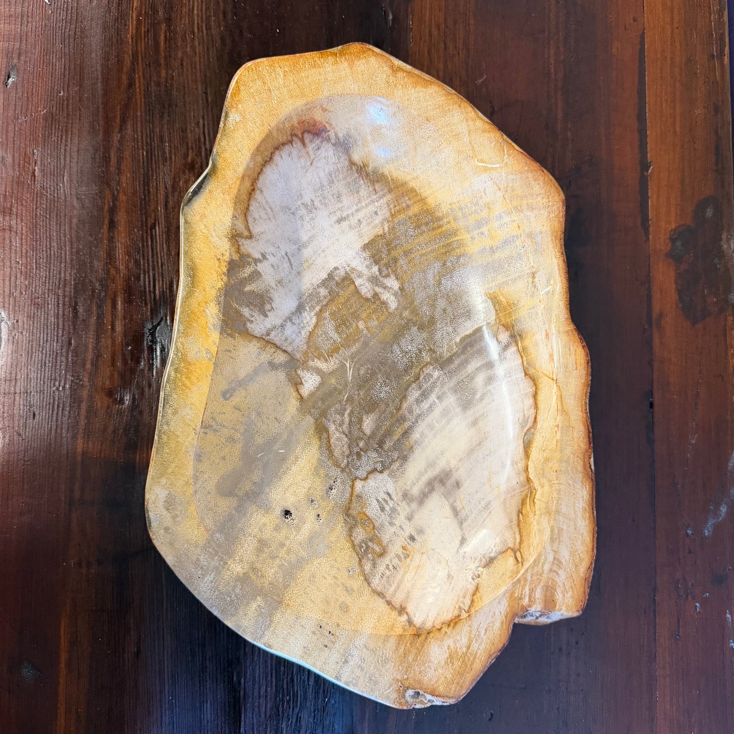 Piatto in legno fossile - 60374 M