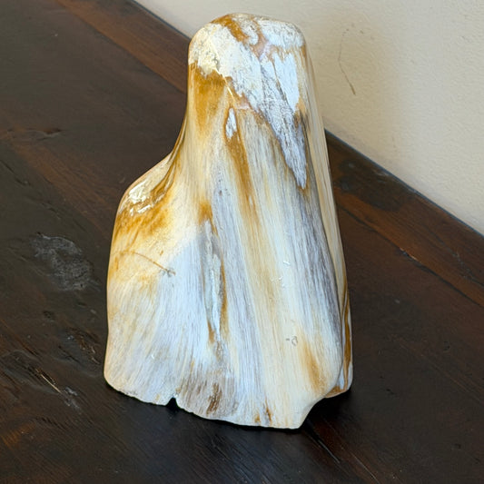 Scultura in legno fossile - 50007 A