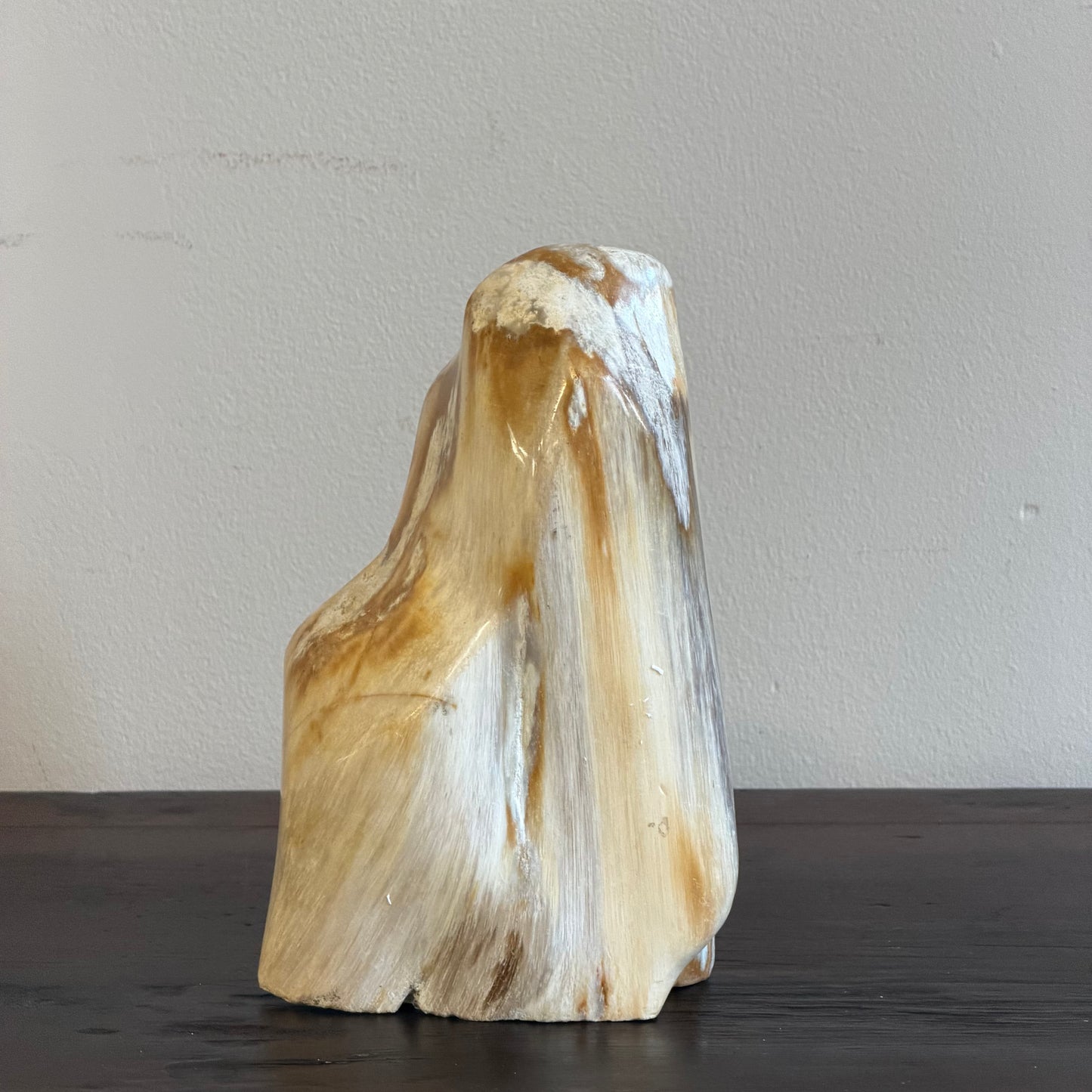 Scultura in legno fossile - 50007 A