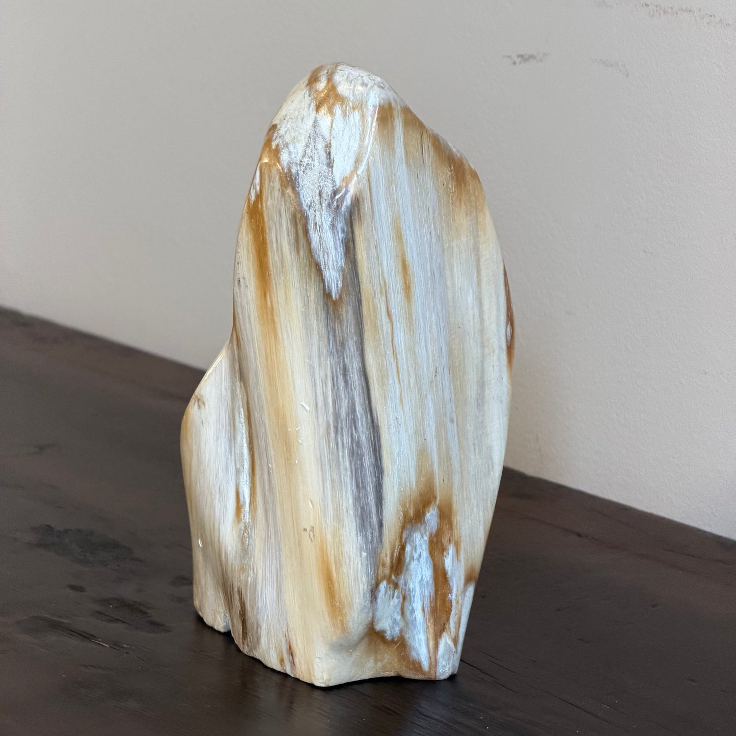 Scultura in legno fossile - 50007 A