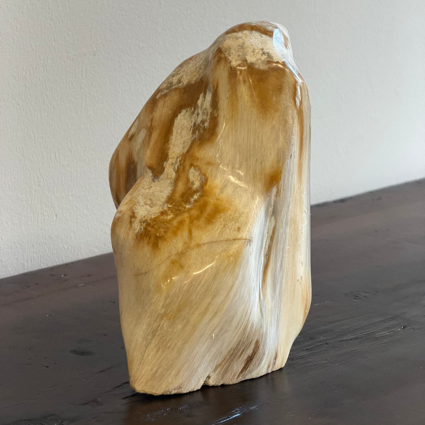 Scultura in legno fossile - 50007 A