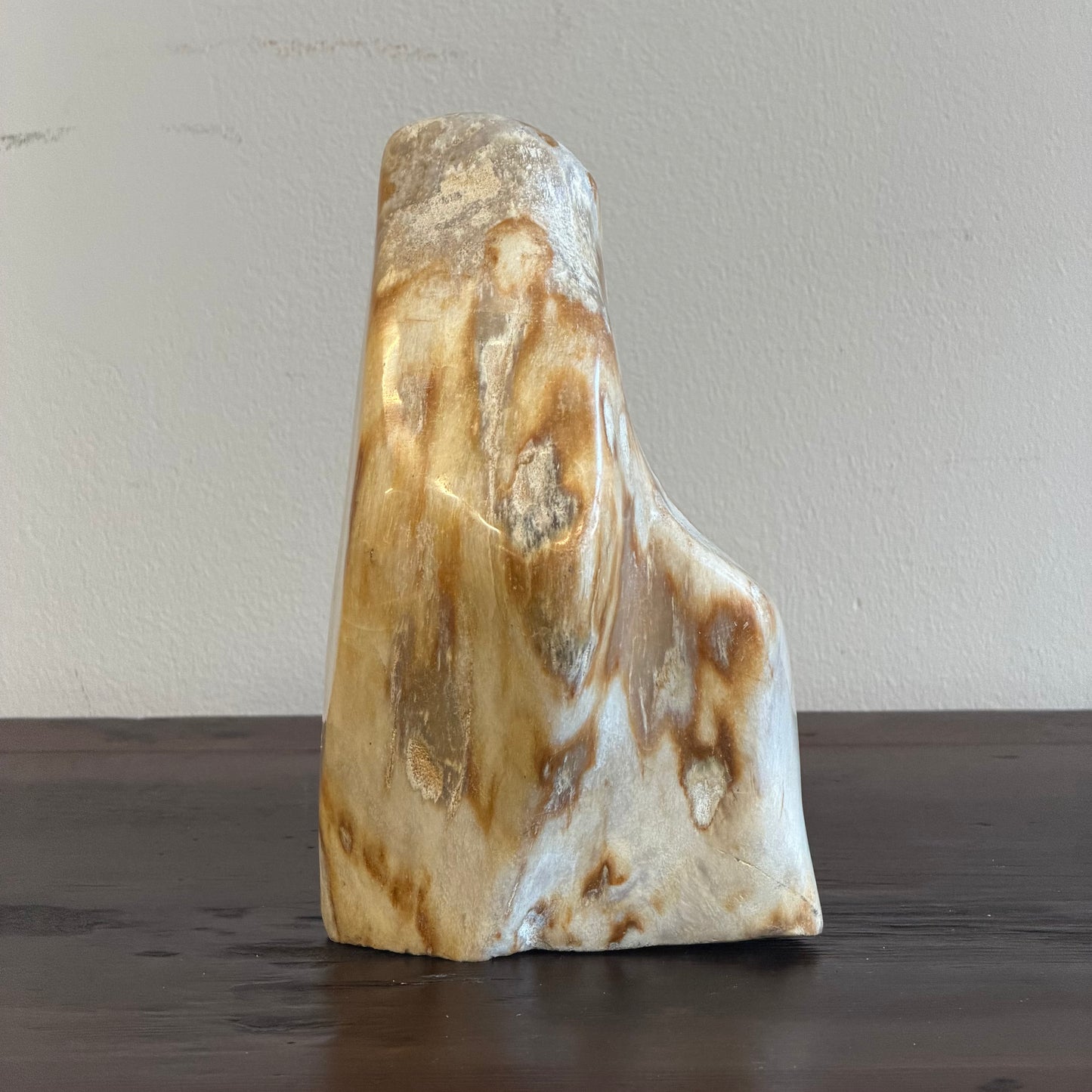 Scultura in legno fossile - 50007 A