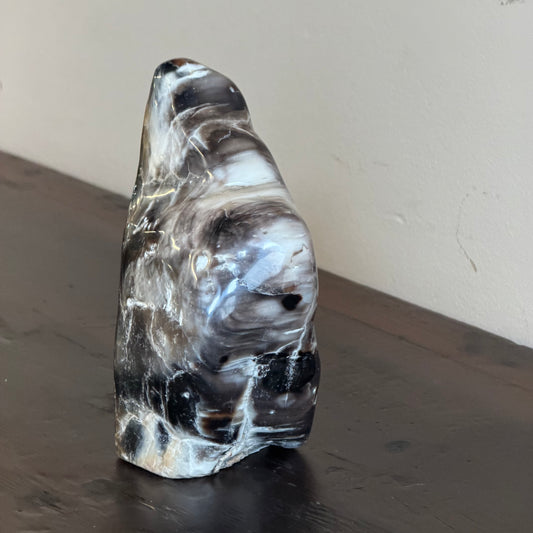 Scultura in legno fossile - 50007 C